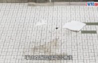 誰吃了羅局長的士多啤梨忌廉蛋糕