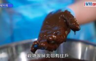 誰吃了羅局長的士多啤梨忌廉蛋糕