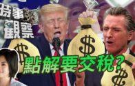 時事觀察— Joyce Lam：點解要交稅？某某黨最喜歡加稅？
